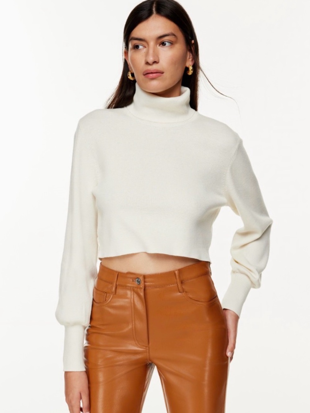 Aritzia Wilfred Rebecca Turtleneck Sweater